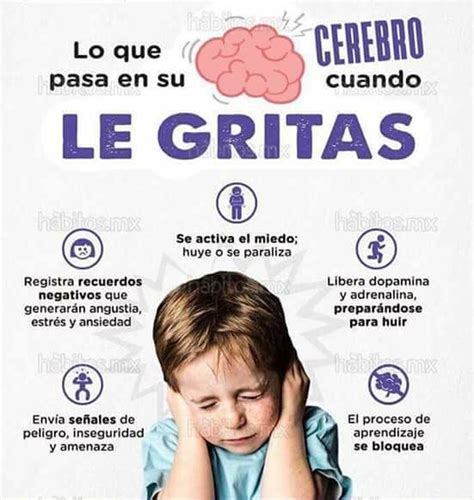 Qu Ocurre En El Cerebro De Tu Hijo Cuando Le Gritas Aprende M S