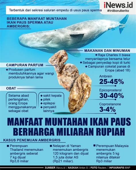 Harga Muntahan Ikan Paus 1 Kg Homecare24