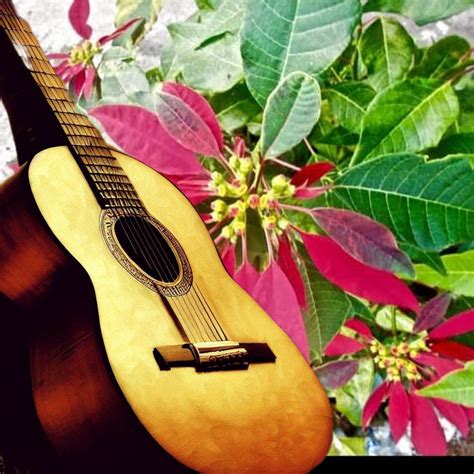 Listen to Vintage Christmas Carols for Easy Classical Guitar audiobook ...