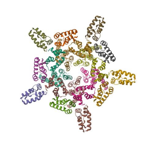 RCSB PDB 8CKZ HIV 1 Mature Capsid Pentamer From CA IP6 CLPs Bound To