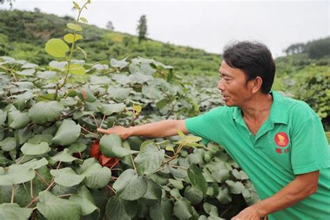 我院赴湘西州凤凰县暑期社会实践团在菖蒲塘村开展调研活动 树达学院