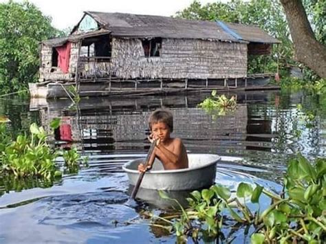 QUEM NÃO TEM CÃO CAÇA GATO AMAZÔNIA ACONTECE