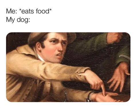 Dog Food | Angry Man Pointing at Hand | Know Your Meme