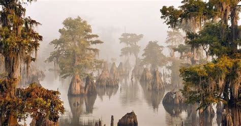 secret islands  florida   locals