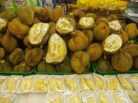 Os Benef Cios Do Durian Para Sa De Dicas De Muscula O