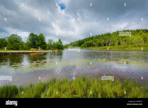 Pendleton Lake At Blackwater Falls State Park West Virginia Stock