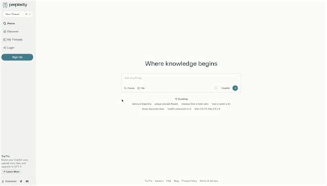 Perplexity Chatbot - Conversational AI-UX Interaction | #1 library of