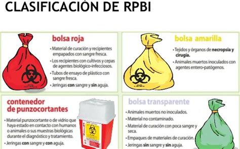 Datos Que No Sabias De Los Contenedores Y Bolsas De Rpbi