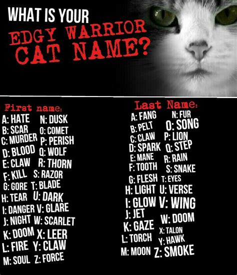 What Is My Warrior Cat Name