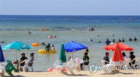 제주 5개 해수욕장 23일 먼저 개장전 해수욕장 금연구역 네이트 뉴스