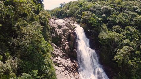 Trilha Da Cachoeira Da Torre Roteiro Aventura