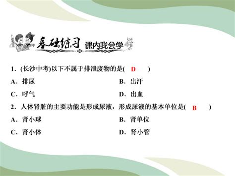 人教版生物七年级下册 第4单元 第5章人体内废物的排出（第课时）：泌尿系统的组成与尿液的形成 课件共17张ppt21世纪教育网 二一教育