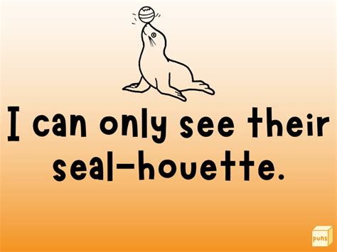 50 Hilarious Seal Puns That Seal The Laughter Deal Box Of Puns