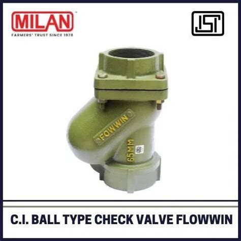 Blue Cast Iron Ball Type Foot Valve Size Inch At Rs Piece In