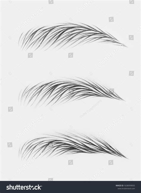 How To Draw Eyebrows With Pencil Atelier Yuwa Ciao Jp