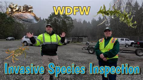 Inspected By WDFW AMERICAN LAKE Finding Catching Fish Fool Proof