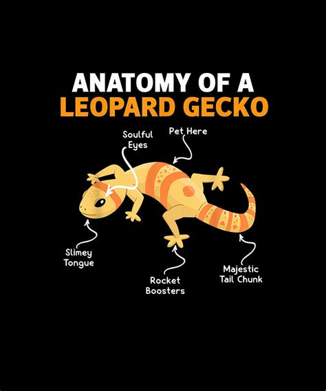 Anatomy Of A Leopard Gecko Funny Gecko Reptile Drawing by Alicia ...