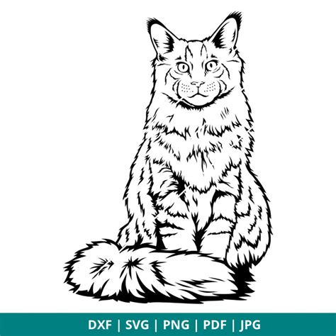 Maine Coon Cat DXF SVG PNG PDF