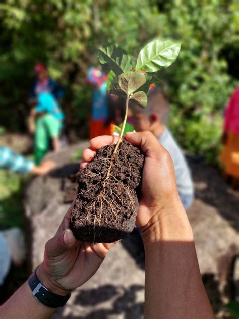 Semillas de libertad la experiencia agroecológica del COPINH COPINH