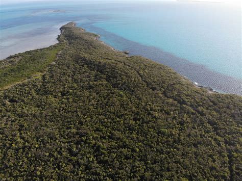 Wild Berry Cay The Berry Islands Bahamas Caribbean Private Islands For Sale