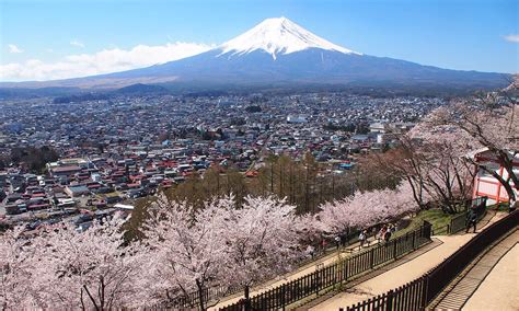 Lukisan Pemandangan Gunung Fuji