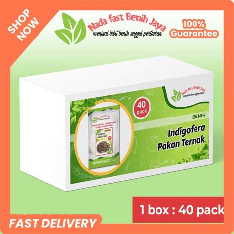 Jual HARGA SPECIAL BENIH INDIGOFERA SUPER 1 BOX BIBIT PAKAN TERNAK