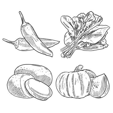 Set Of Sketch And Hand Drawn Vegetable Chilli Pepper Spinach Potato And