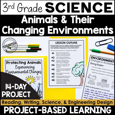 3rd Grade Pbl Science Research Project Animal Environments