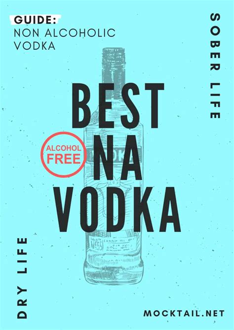 Ultimate Guide: Best Non Alcoholic Vodka - Mocktail.net