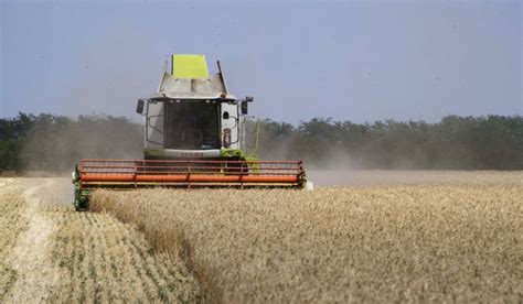 Uniunea European Ridic Interdic Ia La Importul Cerealelor Ucrainene