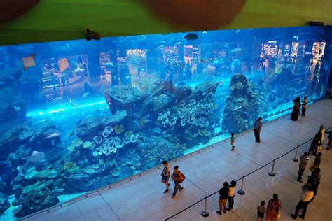 Dubai Aquarium - Propsearch.ae