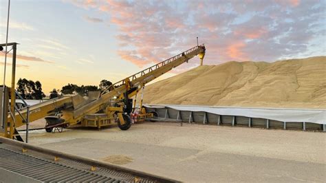 Viterra Harvest Intake Nears 5mt Grain Central