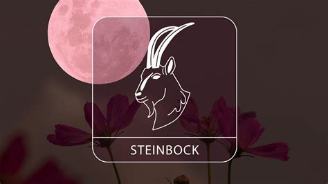 Das Hexenmond Horoskop F R Den Sternzeichen Steinbock