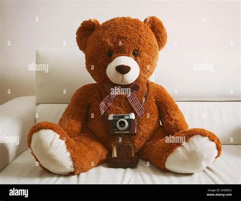 Retro Teddy Bear Photo Camera Old Fashioned Retro Style Teddy