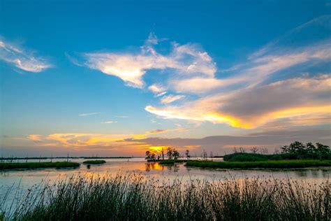 Venice, Louisiana Fishing: The Complete Guide (Updated 2023)