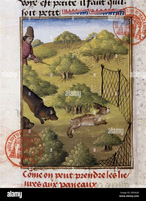 Chasse Au Lievre In Livre De Chasse De Gaston Phoebus Comte De Foix