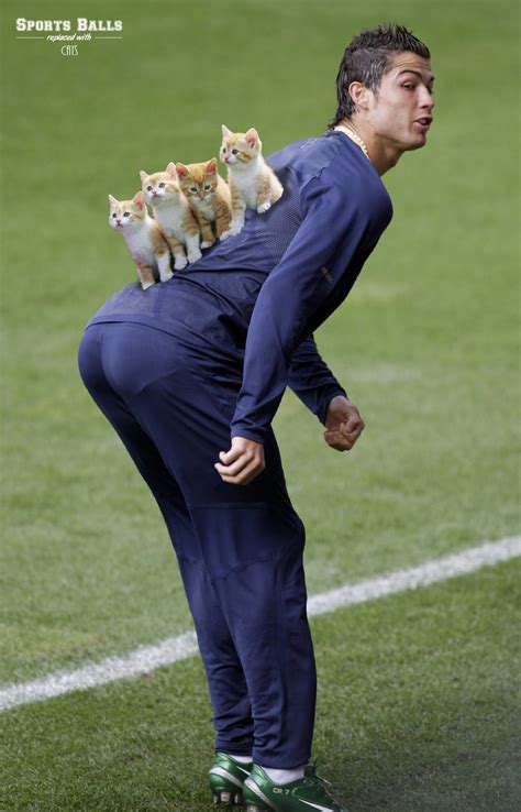 Sports Balls Replaced With Cats Four Kittens On Cristiano Ronaldos