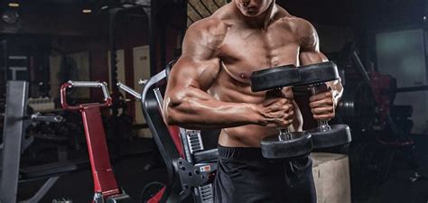 Best Dumbbell Exercises To Get Ripped Online Degrees