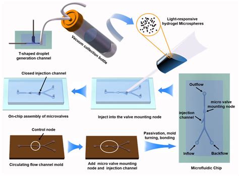 Schematic Diagram Of Construction Scheme Of Microfluidic Chip