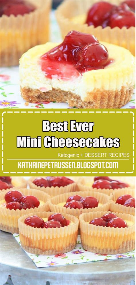 Best Ever Mini Cheesecakes Darwin Recipes