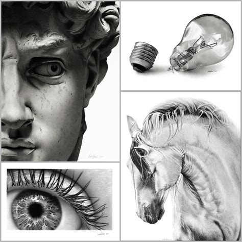 graphite pencil drawing 7