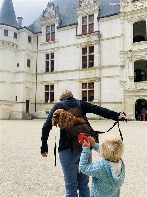 La Loire à vélo en famille 180km de Saumur à Blois Notre récit et