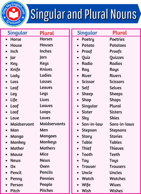 A Huge List Of Singular And Plural Nouns Words