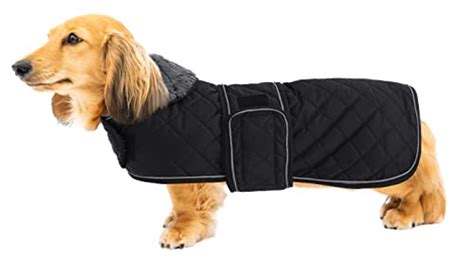 Top 5 Coats for Dachshund Dogs to Keep Them Warm and Stylish