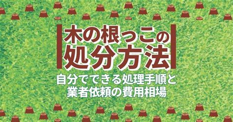 木を切った後の処理が身近なものでできる！伐採後の木を枯らさず守る方法 伐採110番