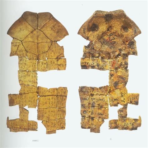 Oracle bones | Archaeology News Online Magazine