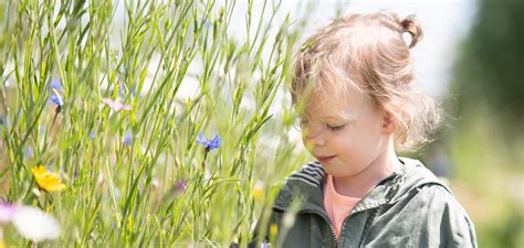 Zo Gingen Mijn Ogen Pas Open Voor Het Belang Van Biodiversiteit