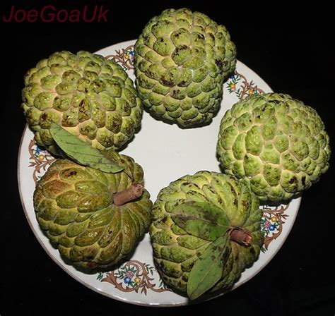 Custard Apples Sitafal Anteram Antonam Rs 200 For These 5 Flickr