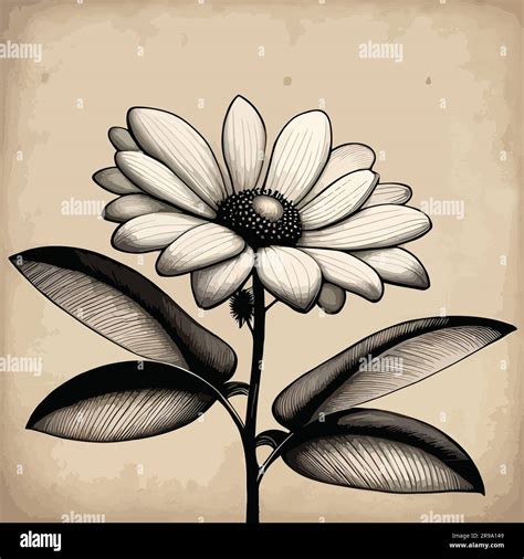 line drawing flower watercolor art Stock Vector Image & Art - Alamy