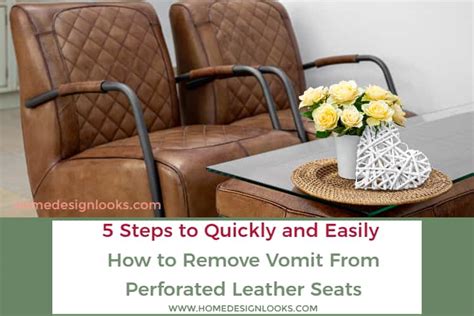 Steps To Quickly And Easily How To Remove Vomit From Perforated